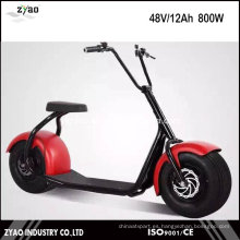 1000W Brushless Electric Scrooser Ciudad Scooter